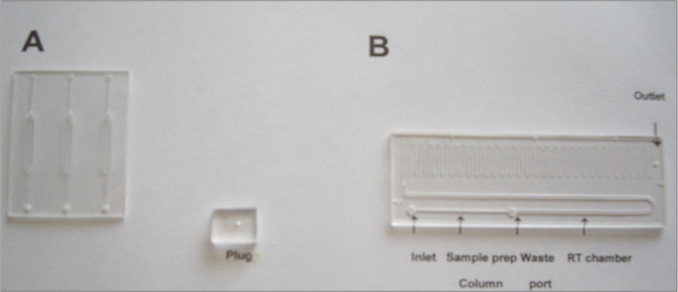 Microfluific devises employed in this research. (A) Low throughput (LT) device. (B) High throughput (HT) device showing three sections: sample preparation column, RT chamber and above them are PCR                   channels. Plug to seal inlet and outlet of the device is shown in the background.