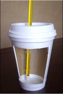 Styrofoam cup  containg the LT microfluidic  device and a thermometer