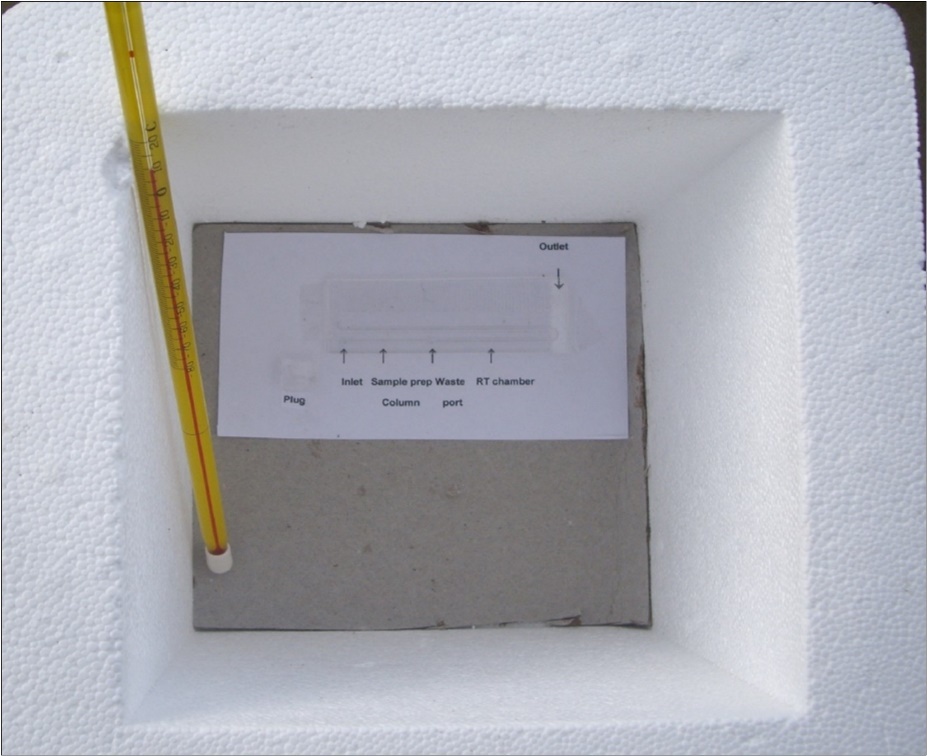 Styrofoam box  containg the HT microfluidic device and a thermometer