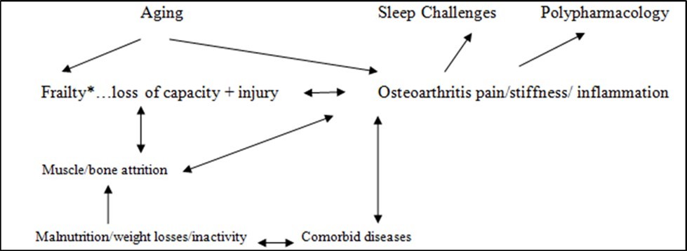Figure 1. Possible interactions of frailty and osteoarthritis that may induce multiple adverse health outcomes among the elderly and implying a strong need for integrated multi level, interdisciplinary interventions (18, 19, 31-38).