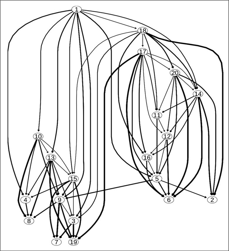 Bayesian network (directed acyclic graph) of depression