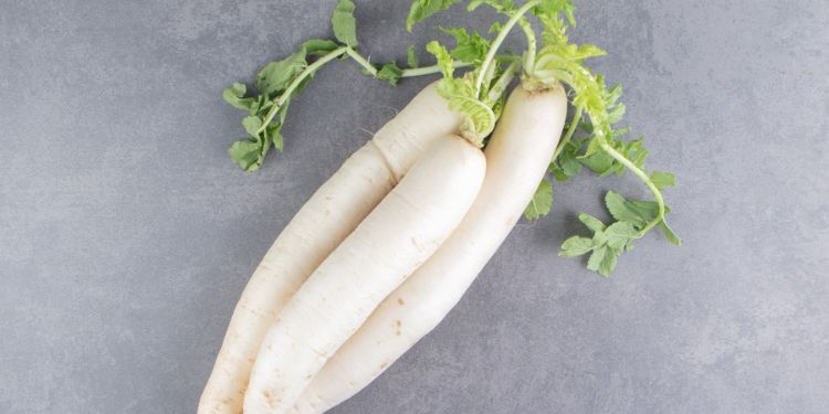 Article: The Role of Spiritual Blessing Energy Treatment in Optimizing Radish (Raphanus sativus L.). Growth and Crop Yield
