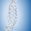 Journal of Peptides - Cyclic Peptides