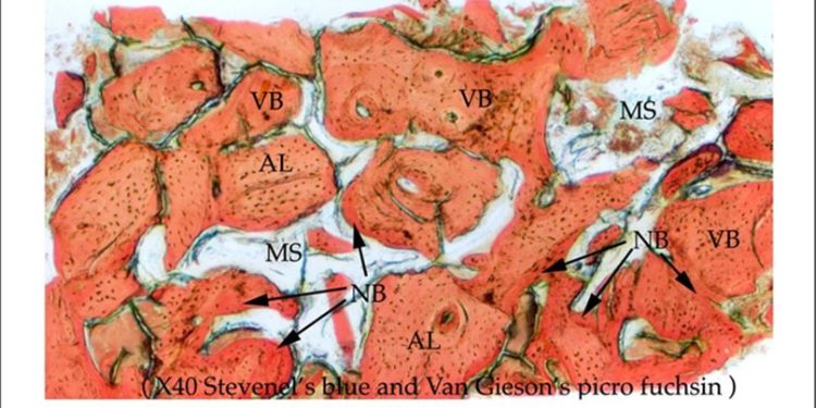 Journal of Dentistry and Oral Implants - Allogeneic