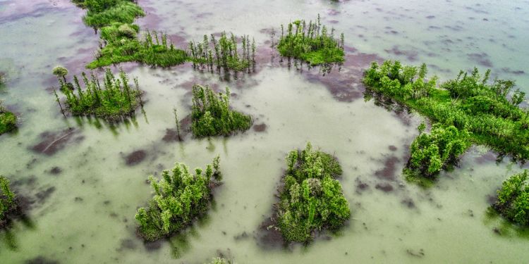 Journal of Tropical Diseases and Medicine - environmental epidemiology 
