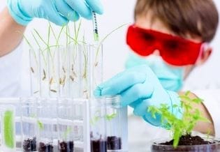 Journal of Advances in Plant Biology