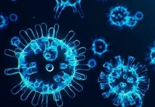 Coronaviruses