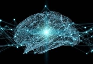 International Journal of Neuroinformatics